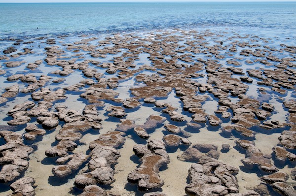 AustraliaPerth 10  100